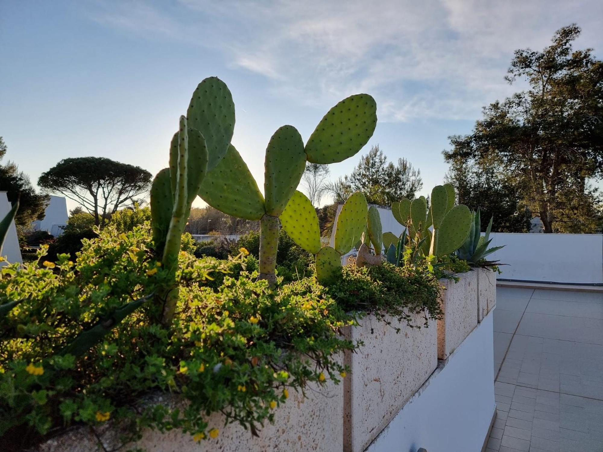 Villa 73059 Ugento Esterno foto